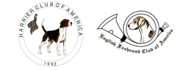 Harrier Club of America & English Foxhound Club of America